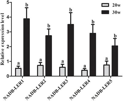 Identification of a Novel Lipid Metabolism-Associated Hepatic Gene Family Induced by Estrogen via ERα in Chicken (Gallus gallus)